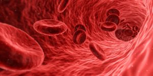 Human body red cells